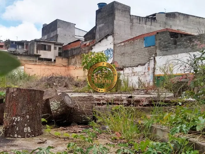 Área Industrial 1.250 m² — Casa Grande, Diadema