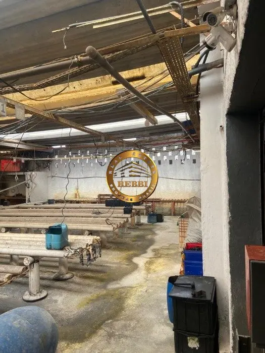 Foto 4 de 9 — Galpão Industrial 763 m² à venda — Serraria, Diadema