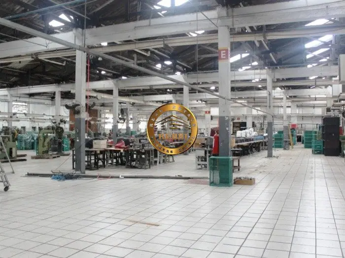 Foto 5 de 10 — Galpão Industrial 6.203 m² para venda e locação — Vila Ribeiro de Barros, São Paulo